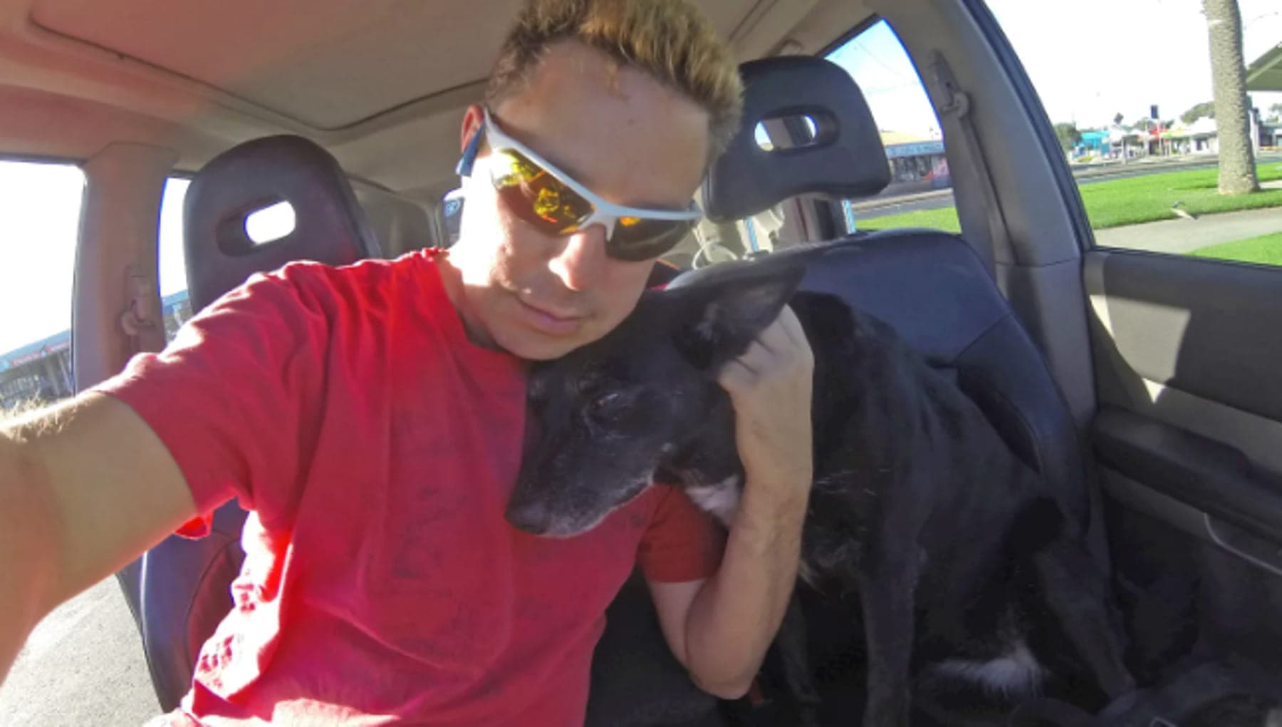 40mila dollari per congelare il cane: la follia del capitale